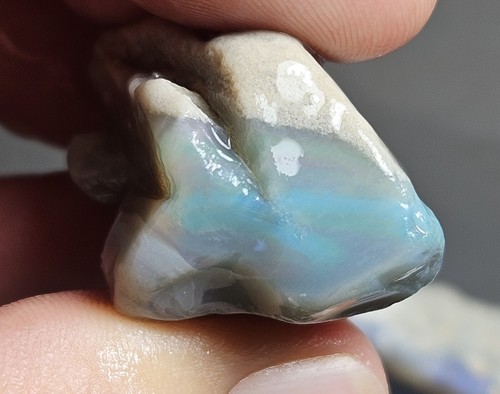Lightning Ridge Opal Rough Parcel Blue Green Purple Lapidary 546.3 Ct Australian - Bild 14 von 24