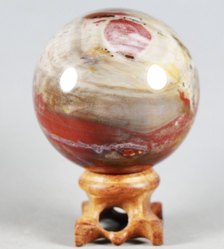 A 295g PETRIFIED WOOD AGATE Crystal With Rose Wood Stand From Madagascar - Picture 8 of 12