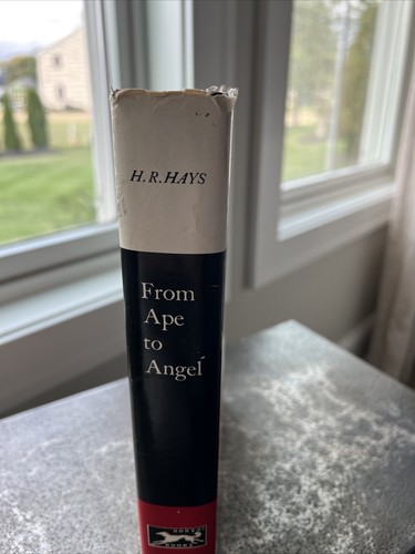 From Ape To Angel H.R. Hays 1st Edition 1958 Marboro Book Club Edition - Picture 3 of 10