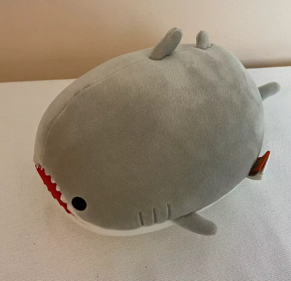 Shark-infused Adventures