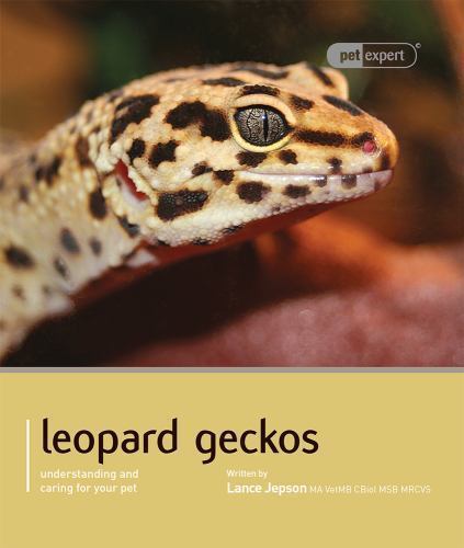"LEOPARD GECKO" BOOK FROM PET EXPERT SERIES BY LANCE JEPSON - Picture 1 of 1