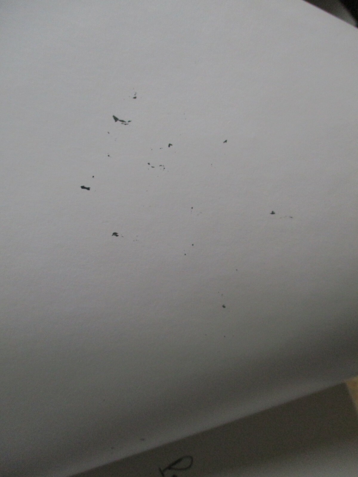 Bild 3 von 12