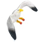 Bild 7 von 12
