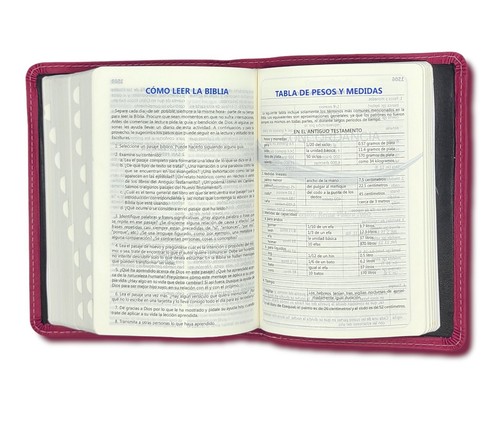 Biblia Chica Reina Valera 1960 Piel ABBA Genuina 100% - Foto 47 di 87