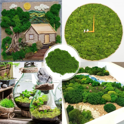 100G Moos, Deko Moos Künstlich, Moos Zum Basteln Kunstmoos Kunstmoos Zum Dekorie - Bild 7 von 12