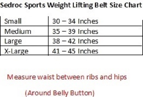Sedroc Weight Lifting Belt Back Support Gym Bodybuilding Fitness Training - Picture 2 of 5