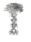 DNA Roots Sticker (3 Inch) Line Art Minimalist Gothic Sketch Floral Genetics