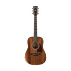 Ibanez Mahogany 3/4 Size Acoustic Guitars