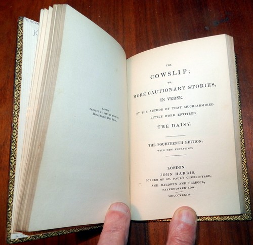 1833 The Daisy & The Cowslip, Elizabeth Turner. 60 color Woodcuts. Fine Bndg - Bild 8 von 11