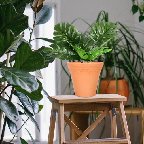 2 Pcs Terracotta Basin Flower Pots for Indoor Plants Garden Pottery - Picture 5 of 12