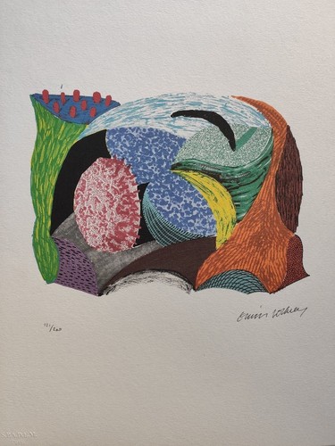 David Hockney Signed - Landscape - Certificate SPADEM Paris - Picture 2 of 4