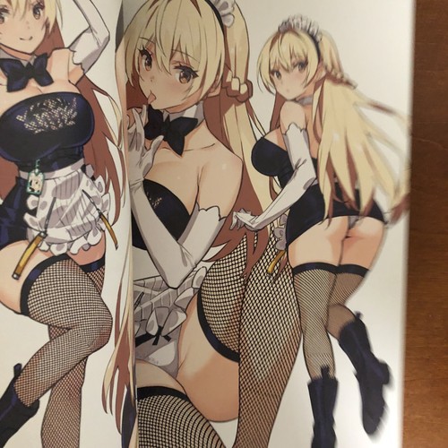 travail de chateau saitom Nekomaru Shoten Art Book Illustration - 第 14/24 張圖片