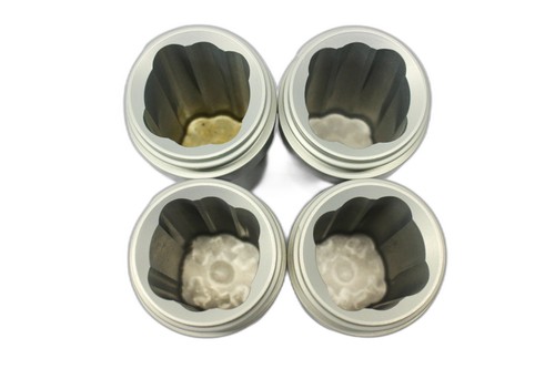 Eppendorf Juego de 4 Cucharones Redondos Rotor A-4-38 Centrifugación 4400 R (3320859879) - Imagen 3 de 4