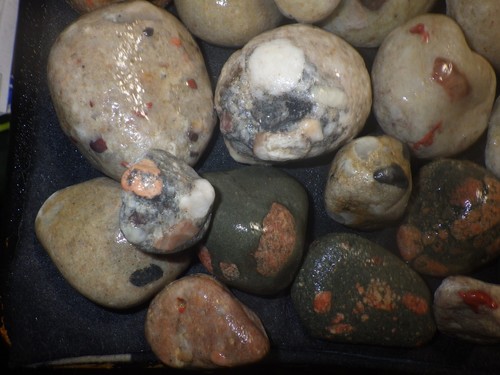 Small Pudding Stones 6 lbs 11.4 oz - Picture 6 of 7