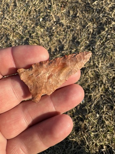 Alte authentische rote Jaspis Pinienbaum Pfeilspitze aus Nord-Missississippi - Bild 18 von 18