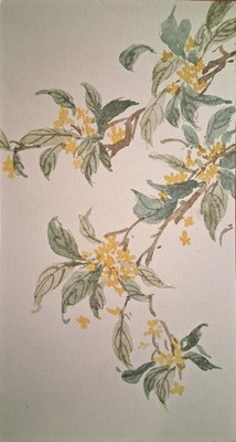 Handgemaltes chinesisches Gemälde: Osmanthus Hand-painted watercolor Geburtstags