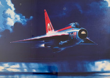 EE Lightning   56 Sqn. Royal Air Force (Firebirds) signed by Artist Brian Petch