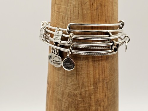 ALEX & ANI Silver Set Of 5 Filler Bracelets For A Stack Charm Bangles ✨️⭐️ - Picture 13 of 14