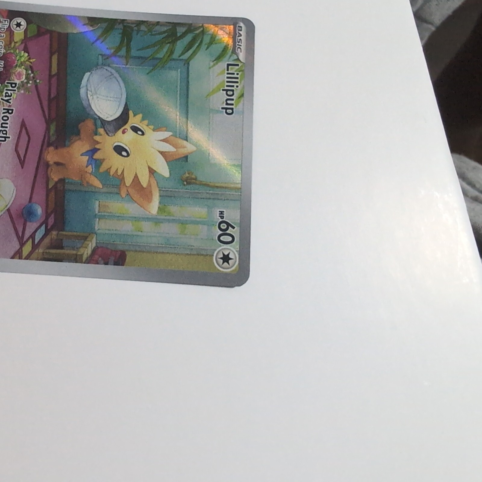 Bild 4 von 6