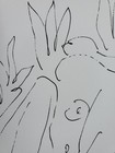 Picture 5 of 7