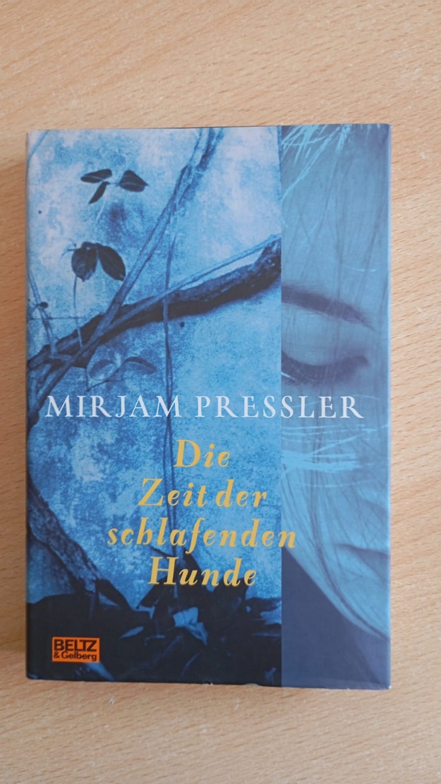Bild 1 von 4