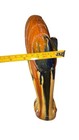 Bild 14 von 14