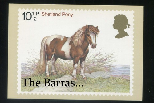 HORSES, SHETLAND PONY by ARTIST Patrick Oxenham. UK ROYAL MAIL, POSTCARD - Picture 1 of 2