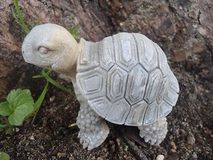 Latex-turtle-mold-plaster-cement-mould-3-034-L-x-2-5-034-H
