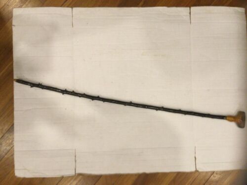 Shillelagh Wooden Irish Walking Stick, Blackthorn 36” (Minor Dings To Handle)