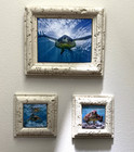 Sea Turtle Wall Art Set 3 Framed Photos on Ceramic Tile Ocean Underwater Decor