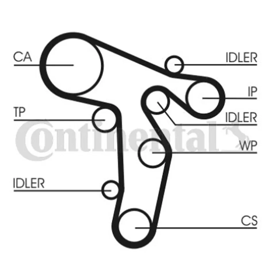 CT1139WP6 CONTINENTAL CTAM WATER PUMP & TIMING BELT SET FOR AUDI SEAT SKODA VW - image 2 of 4