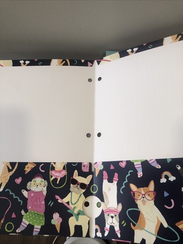 Set Of 3 2-Pocket Folders 3-Prong Plastic Novelty Cat Kitty Lot Greenroom NEW - Picture 10 of 18