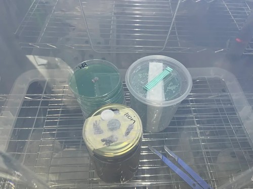 MYCOSAB - STILL AIR BOX WITH A TOUCH OF CLASS - Picture 5 of 5