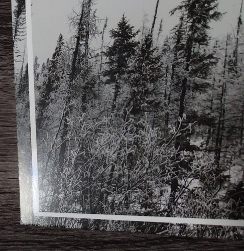 Panopticon – The Rime Of Memory 2x LP(Clear/White Butterfly Wings/Black Splatter - Picture 7 of 7