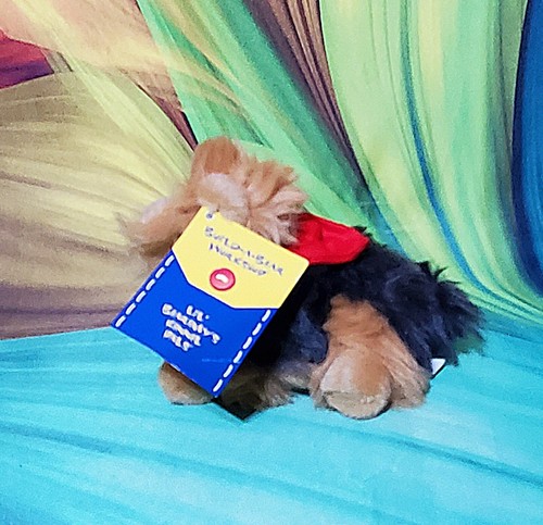 NEW Build A Bear BABY Yorkshire Terrier Yorkie Mini Puppy Dog Plush Stuffed NWT - Picture 3 of 7