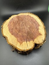 Rustic Round Cut Live Edge Deep Red Cedar Epoxy Project Wood Slab  200  