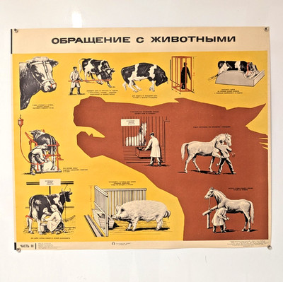 1971 industrial design -  Soviet Farmer Horse Poster - Care of Sick Animals
