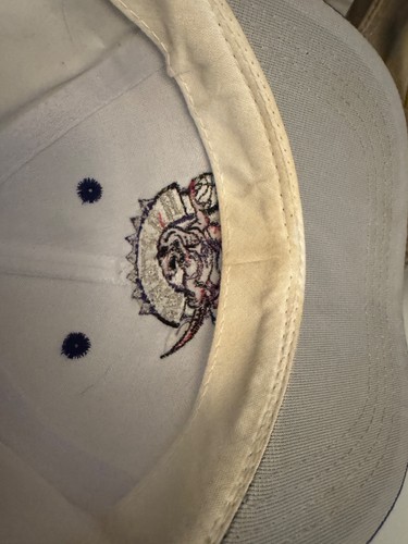 Toronto Raptors Vintage 90s Logo Athletic Basketball Snapback Hat Cap 1994 - Picture 6 of 6