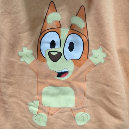 Bluey Bingo Boys Large (10/12) Character Hooded Jacket Orange H3-1 - Picture 11 of 12