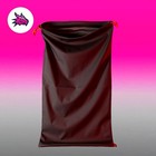 Secure Large Bad Dragon Toy Bag 17" x 30" Neoprene Rubber Hygienic Storage