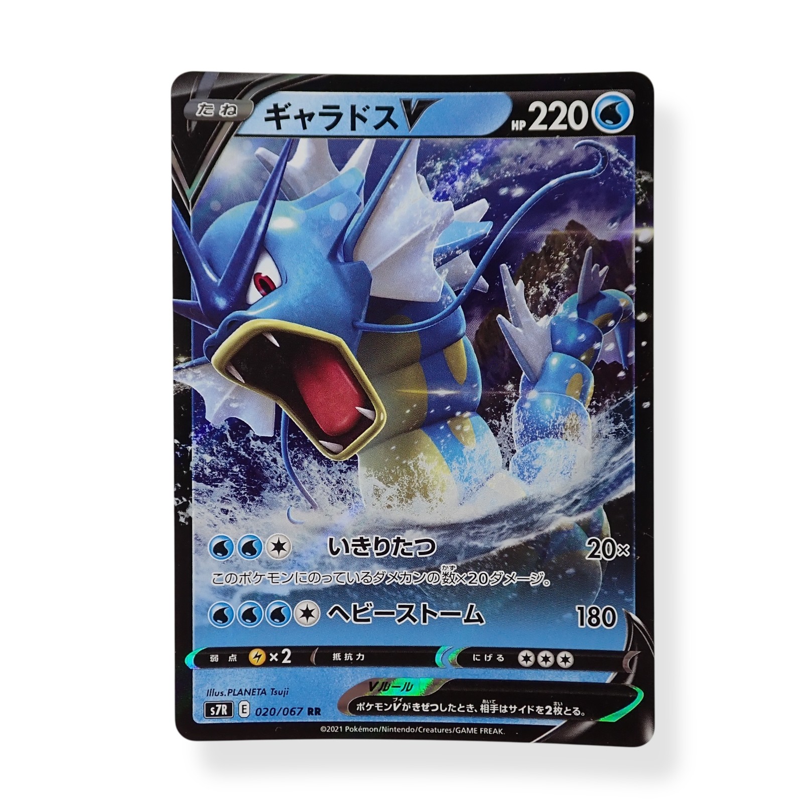 世界254枚 PSA10 ギャラドスV gyarados 2021 53 世界254枚 PSA10 ギャラドスV gyarados 2021 53 254 Copies Of