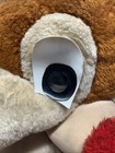 Foto 2 di 7
