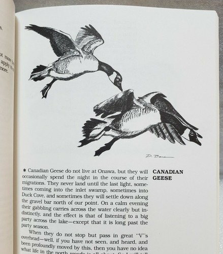 Das Onawa-Bestiarium "Eine meinungsvolle Umfrage mit Exkursen" Henry D. Sherrard Jr - Bild 10 von 12