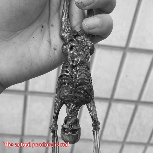 1/6 Scale Human Skeleton Half-body Flesh Blood Skeleton Model Accessorysj - Picture 18 of 19
