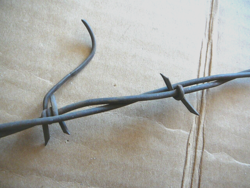 Curtis Two & Four Point Barbs - With Large Fish Hook Barbs - ANTIQUE BARBED WIRE - Picture 2 of 5