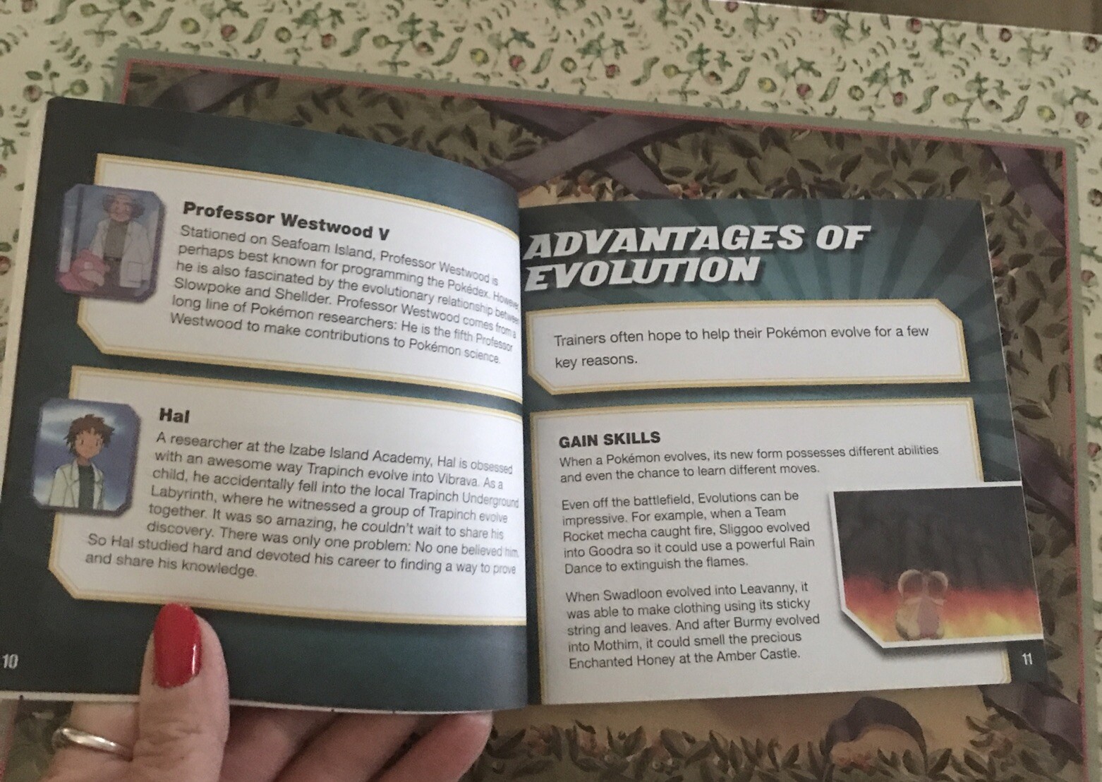 Picture 4 of 10