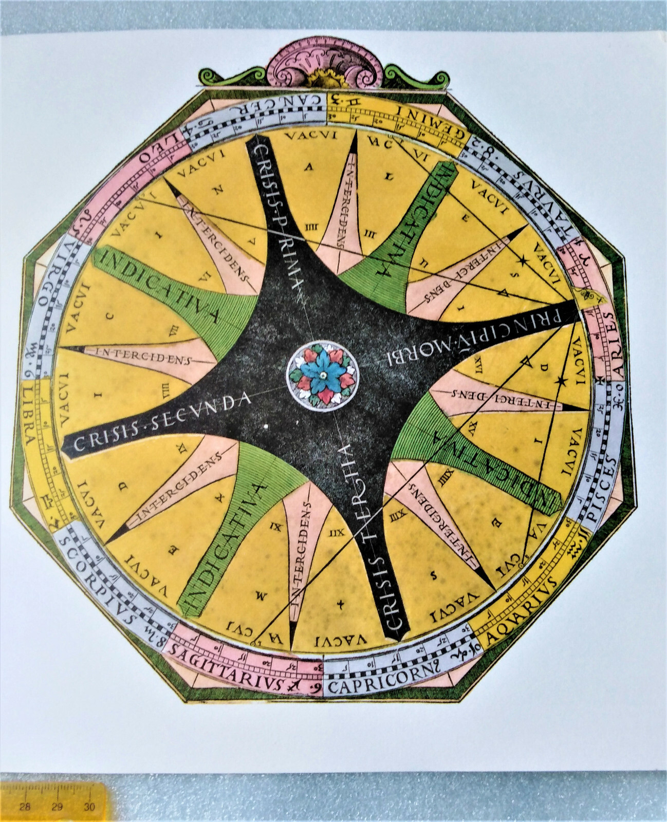 Picture 3 of 4