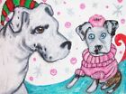American Bulldog Winter Fashion Dog Art 8 x 10 Signed Print Artist Ksams Puppy
