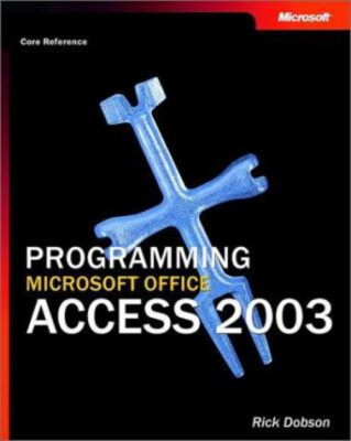 Programming Microsoft Office Access 2003 Core Reference Paperback