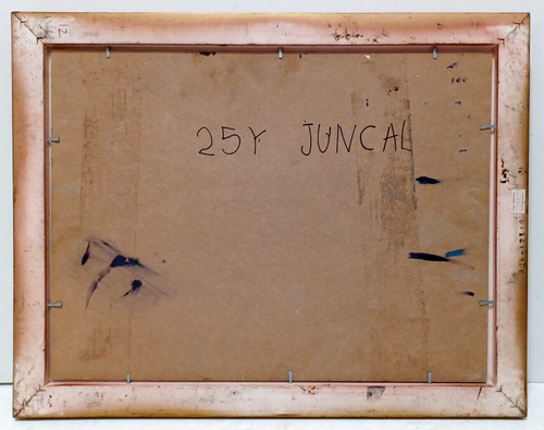 LISTED URUGUAYAN Wm. MOREIRA CRUZ Sd ORIG OIL on MASONITE "JUNCAL" MONTEVIDEO - Picture 9 of 9